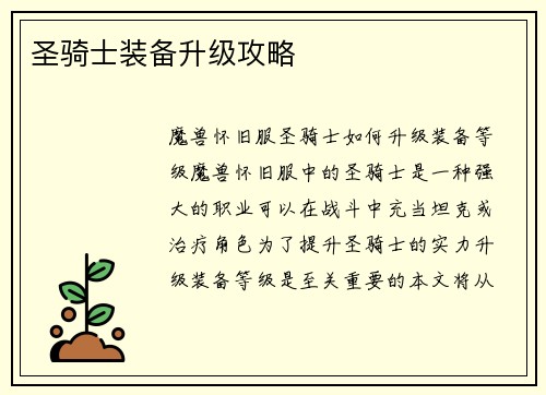 圣骑士装备升级攻略